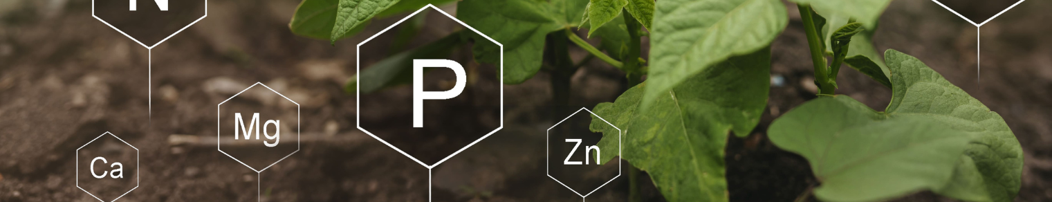 licenciatura-en-ciencias-naturales